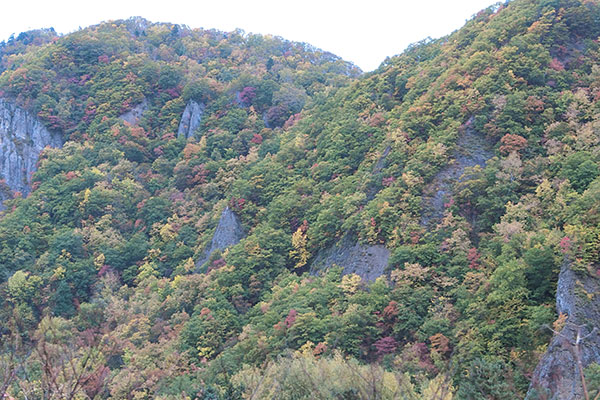 幻想的な色合いの初秋の山